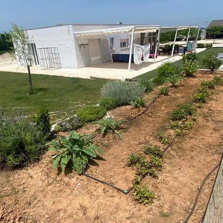 White House En Enguera - Fantastica Casa Con Jacuzzi Piscina Y Barbacoa公寓 外观 照片