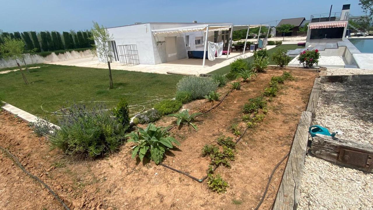 White House En Enguera - Fantastica Casa Con Jacuzzi Piscina Y Barbacoa公寓 外观 照片